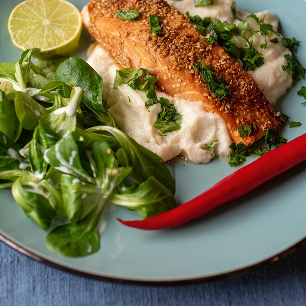 Lachs auf Blumenkohlpüree