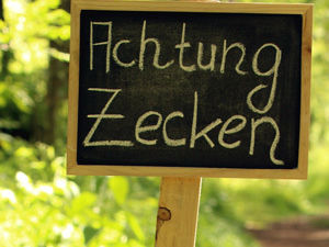 So kriegen Zecken keinen Stich!