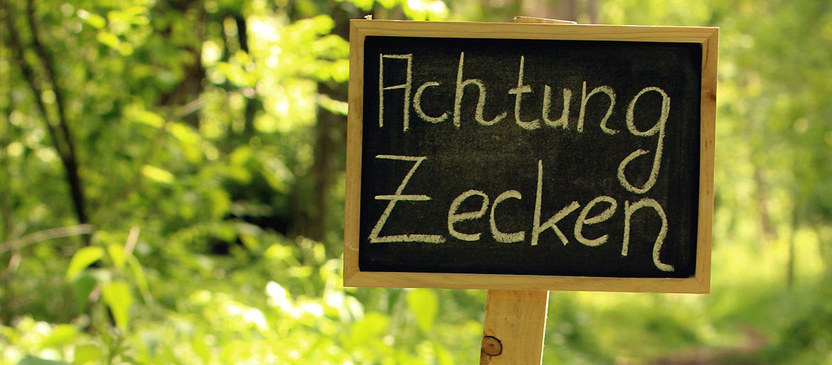 Ein Schild im Wald, auf dem "Achtung Zecken" steht